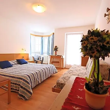 Hotel Arnica 3*