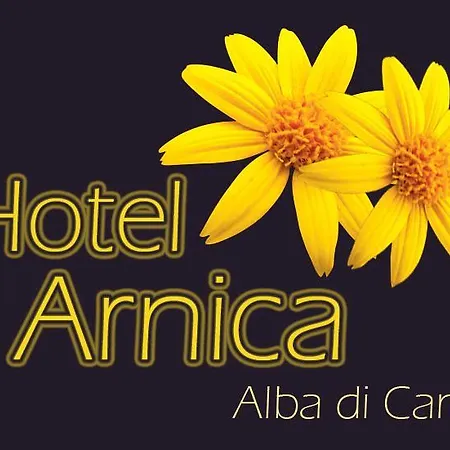 Отель Arnica