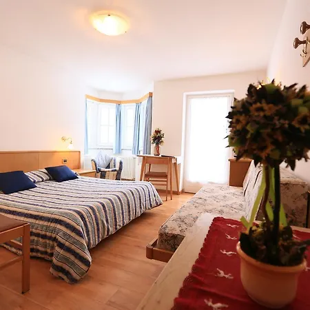 Arnica 3*