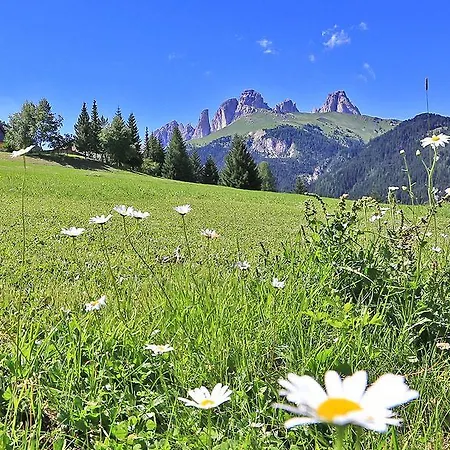 Arnica فندق