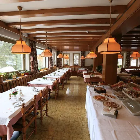 Hotel Arnica 3*